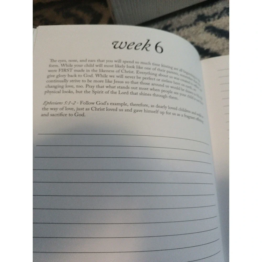 Duncan & Stone Dear Baby A Pregnancy Prayer Journal - Christian - NEW